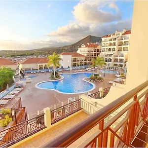 Dinastia D201 By Tenerife & Sales Los Cristianos (Tenerife)